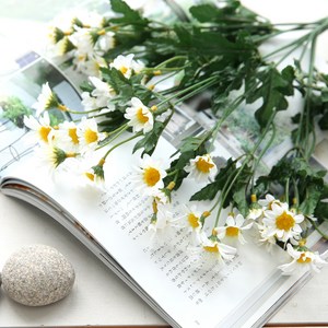 행복한마을 가을국화 부쉬 2단, 화이트