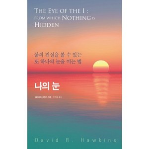 나의 눈:삶의 진실을 볼 수 있는 또 하나의 눈을 여는 법, 판미동, 데이비드 호킨스 저