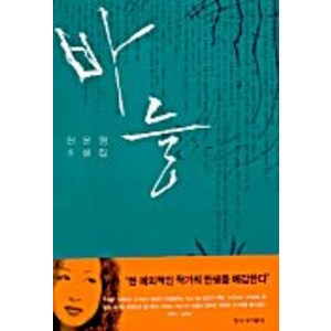 바늘, 창작과비평사, 천운영 저