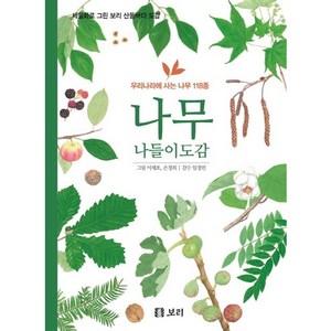 나무 나들이도감:우리나라에 사는 나무 118종, 보리, 임경빈,김준호,김용심 글/이제호,손경희 그림