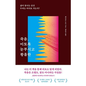 [서스테인]죽음 이토록 눈부시고 황홀한 : 삶이 끝나는 순간 우리는 어디로 가는가?, 서스테인, 레이먼드 무디