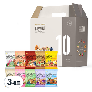 투데이넛 너트한줌 10종 견과세트 1kg, 3세트