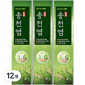 메디안 송천염 치약, 120g, 12개