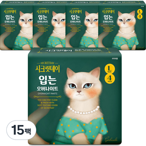 시크릿데이 입는 오버나이트 생리대, 팬티형, 4개입, 15개