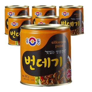 유동 번데기, 280g, 6개