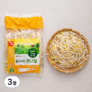 곰곰 아삭한 콩나물, 500g, 3봉