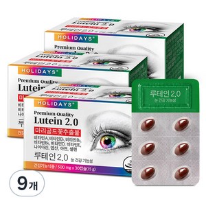 홀리데이즈 눈 노화 개선 루테인 2.0 15g, 30정, 9개