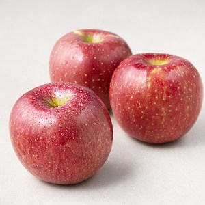 곰곰 당도선별 사과, 1kg, 1팩