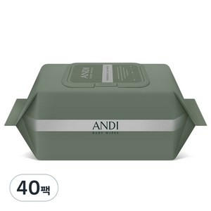 안디 시그니처 저자극 대용량 아기물티슈 캡형, 50g, 102매, 40개