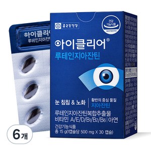 아이클리어 루테인지아잔틴, 30정, 15g, 6개