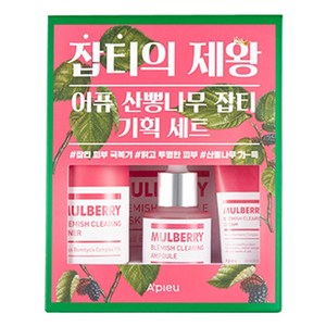 어퓨 산뽕나무 잡티 라인 세트, 1세트