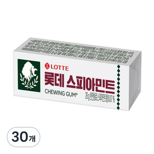 롯데웰푸드 스피아민트 껌, 26g, 30개