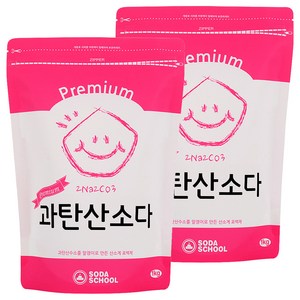 소다스쿨 프리미엄 과탄산소다, 2개, 1kg