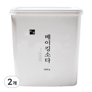 순담 베이킹소다 세정제, 5kg, 2개