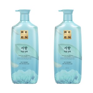 리엔 자윤 한방샴푸 서향, 950ml, 2개