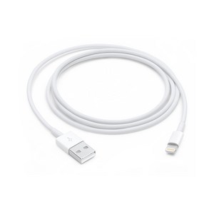 Apple 정품 Lightning-USB 충전 케이블, Lightning, USB, 1m