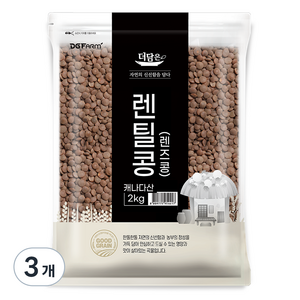 더담은 렌틸콩 렌즈콩, 2kg, 3개