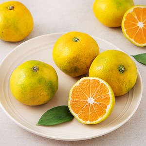 당도선별 11brix 감귤 (로열과), 500g, 1팩