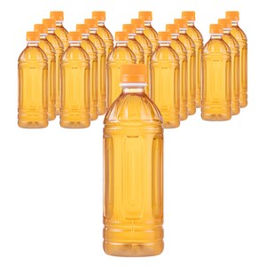 탐사 제로블랙티 자몽맛 무라벨, 500ml, 20개