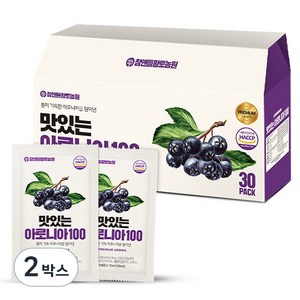 참앤들황토농원 맛있는 아로니아100 즙 30p, 2.1L, 2박스