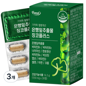 퍼니트 기억력 혈행개선 은행잎추출물 징코플러스 16.5g, 30정, 3개