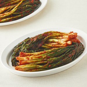 모산김치 갓담근 파김치, 1kg, 1개