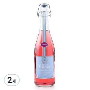 Elixia 블랙커런트맛 탄산음료, 750ml, 2개