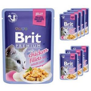 브리트 캣 프리미엄 파우치 습식사료 젤리 치킨, 85g, 8개