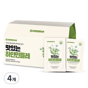 참앤들황토농원 맛있는 하얀 민들레, 2.7L, 4개