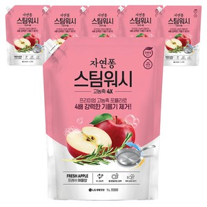 자연퐁 스팀워시 4X 주방세제 애플향, 1L, 6개