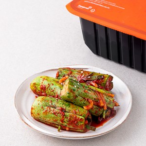 더반찬 오이소박이, 800g, 1개