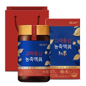 대상웰라이프 고려홍삼 농축액 진 + 쇼핑백, 240g, 1개