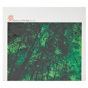 레이 정 - MEMORY OF THE DAY 1집, 1CD