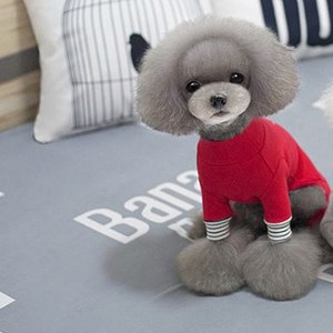 아이앤엘인스퍼레이션 강아지 목폴라 올인원 티셔츠, RED