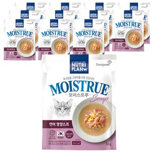 동원 뉴트리플랜 고양이 모이스트루 연어영양스프, 연어, 50g, 12개