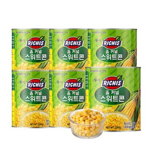 (주)동서 리치스 홀 커널 스위트 콘, 2950g, 6개
