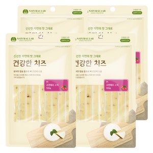 내츄럴랩 건강한치즈 반려견 간식, 크랜베리스틱 맛, 100g, 4개