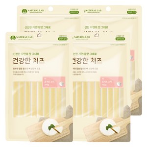 내츄럴랩 건강한치즈 반려견 간식, 요거트스틱 맛, 100g, 4개