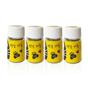 힐링타임 가루 고양이 간식, 캣닢, 6g, 4개