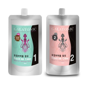 갈라토닉 스퀴드 잉크 칼라 새치염색제 1제 500ml + 2제 500ml, 4N자연갈색, 1세트