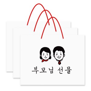 달퐁이네문방구 부모님 선물 쇼핑백 3p, 혼합 색상