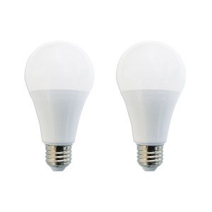 두영 LED BULB 2종 램프 11W, 주광색 + 전구색, 2개