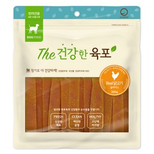 굿데이 더 건강한 육포 강아지간식, 리얼 닭고기 맛, 300g, 1개