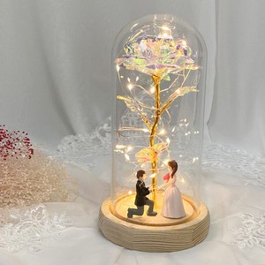 기념일선물 장미 프리저브드 유리돔 무드등 신랑신부, 홀로그램