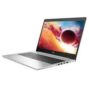 HP 2020 ProBook 455 G7 15.6 학습용노트북