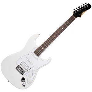 dexterGUITARS D 240 일렉 기타 + 구성품 11종, WH