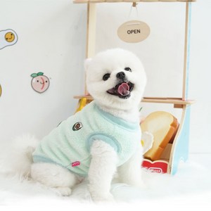 패리스독 패리스프렌즈 강아지옷, 민트