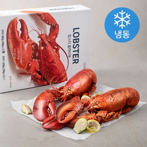 싱싱특구 홈파티팩 자숙 랍스타 (냉동), 400g, 2마리