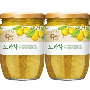 복음자리 모과차, 620g, 1개입, 2개