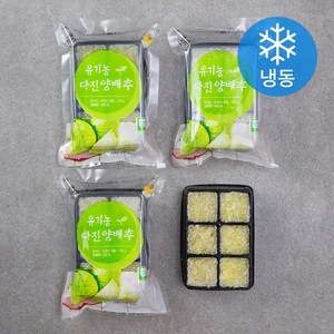 우리땅 웰팜넷 유기가공식품 인증 다진양배추 (냉동), 100g, 4개